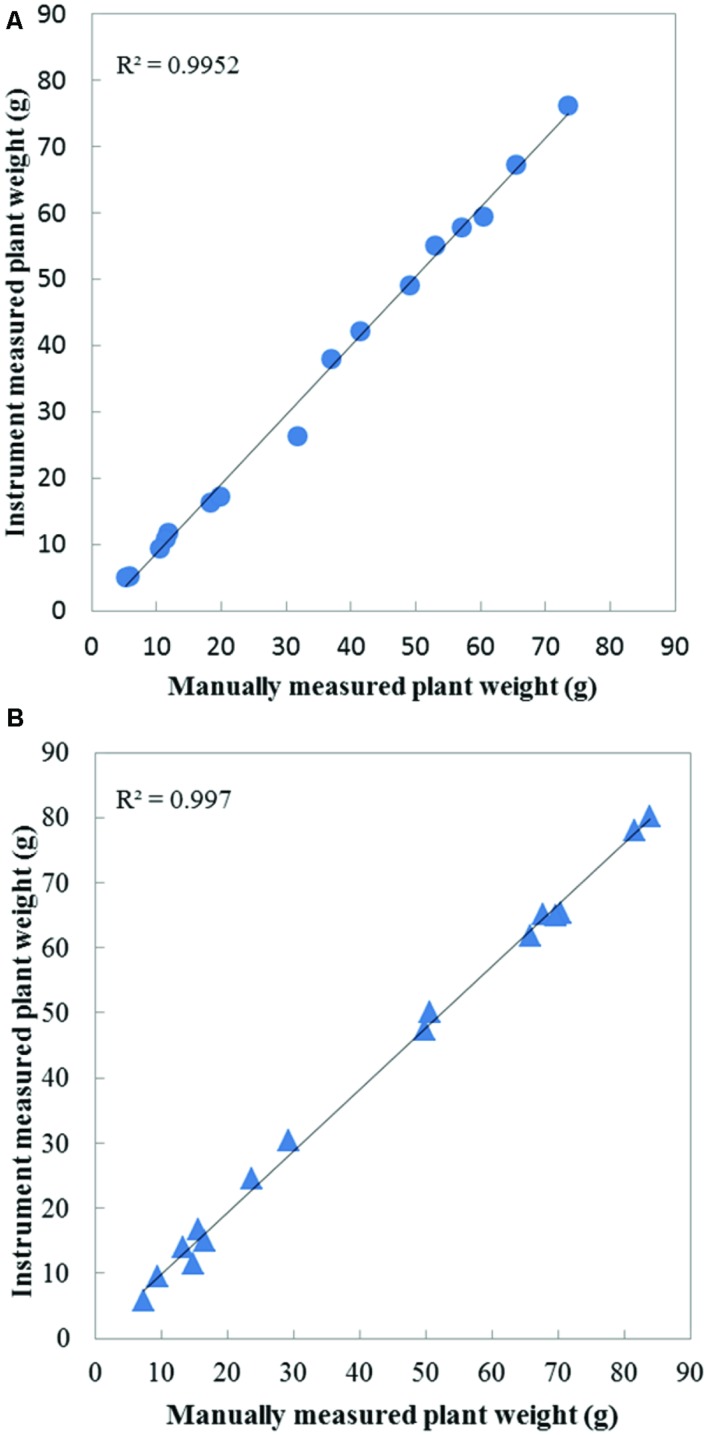 FIGURE 4