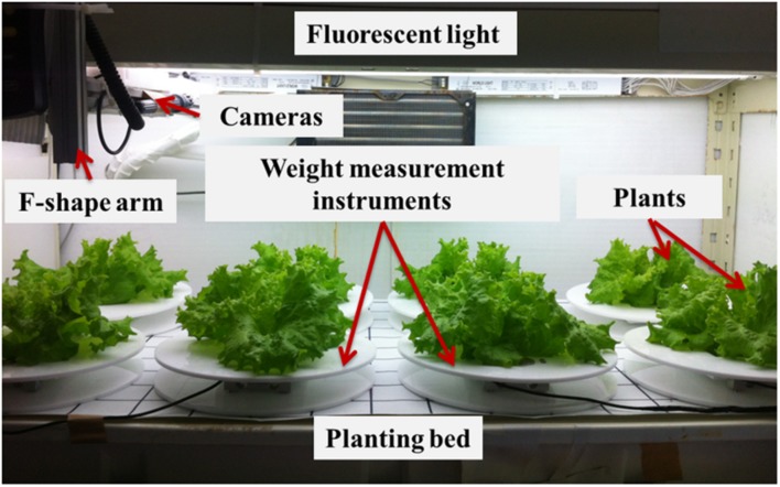 FIGURE 3