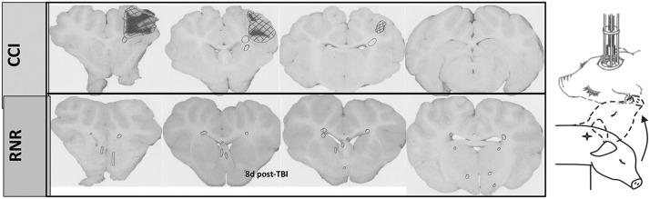 FIG. 7.