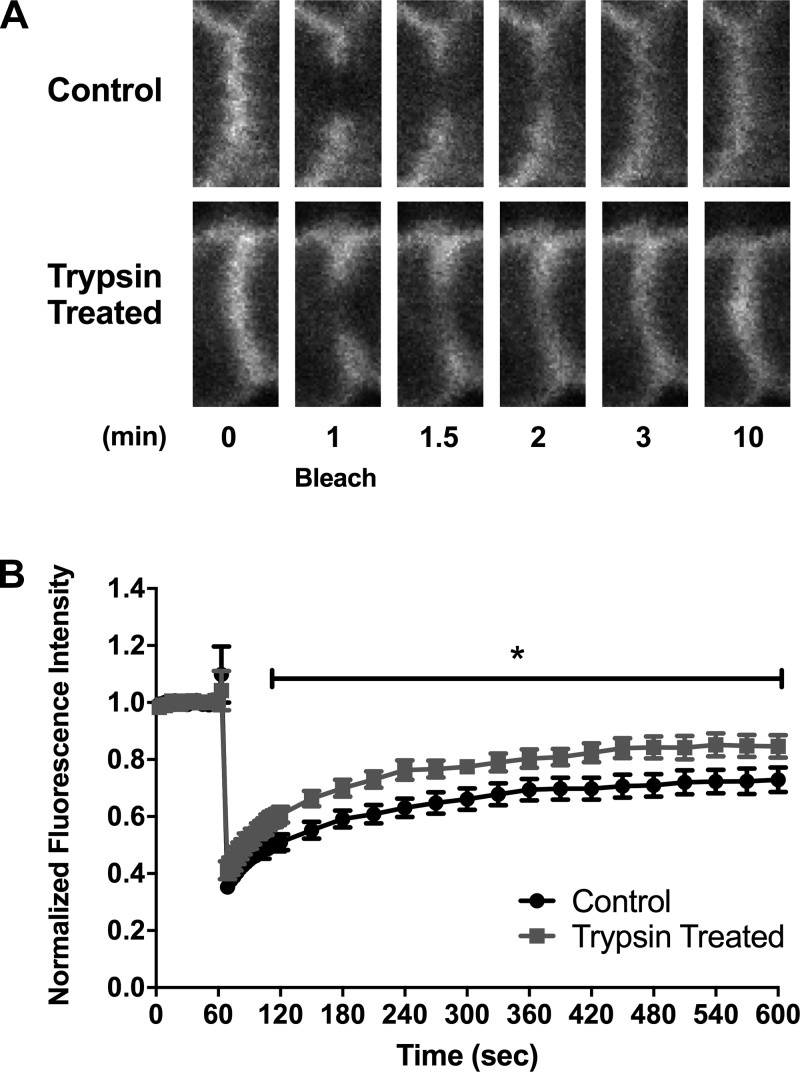 Fig. 9.