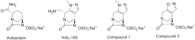 FIG 1