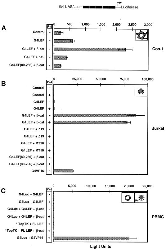 FIG. 7