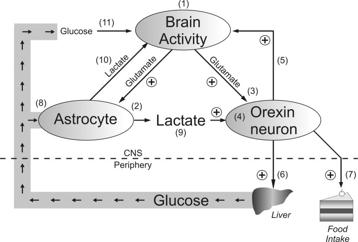 Figure 9.