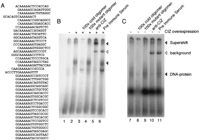 FIG. 6