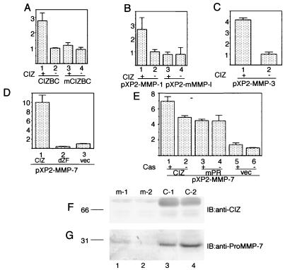 FIG. 7