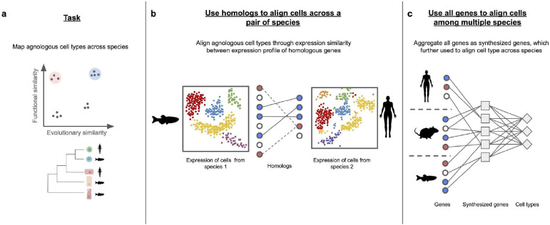 Figure 5: