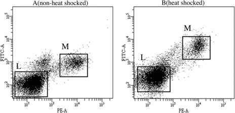 Fig 1.