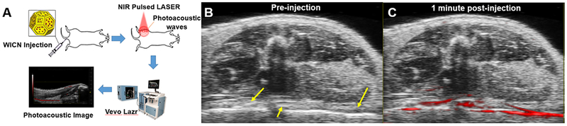 Figure 5.