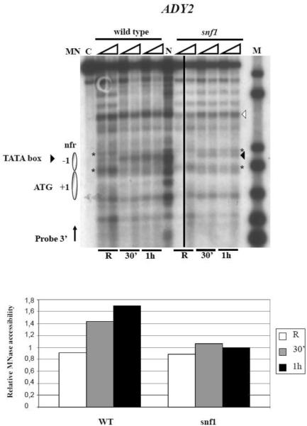 Fig. 5