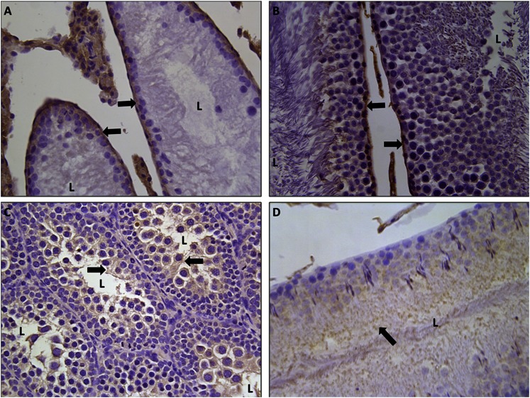 Fig. 7.