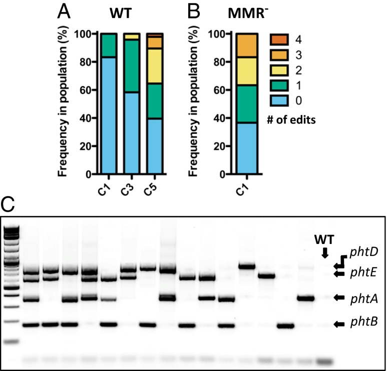 Fig. 4.