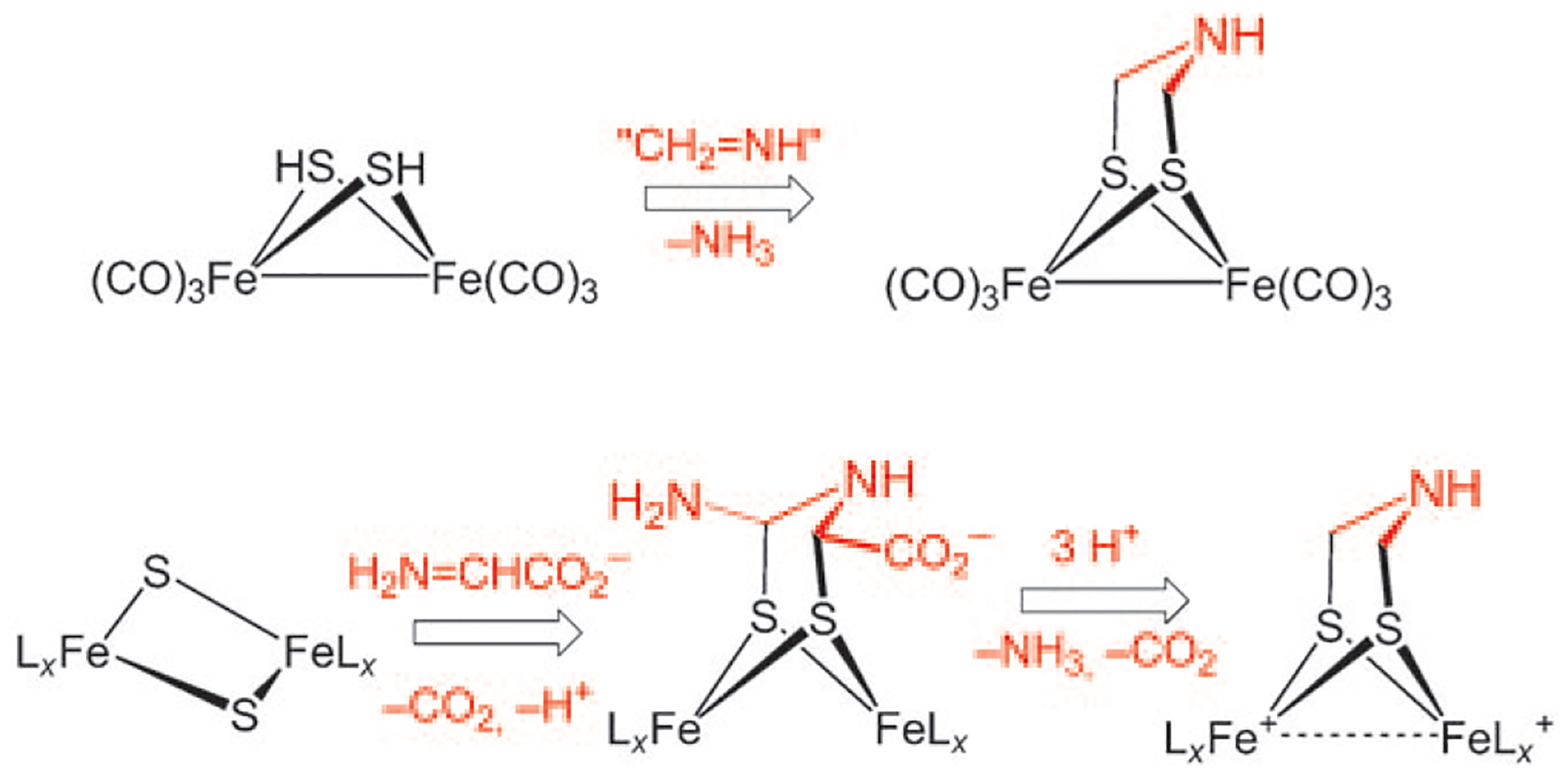 Scheme 5.