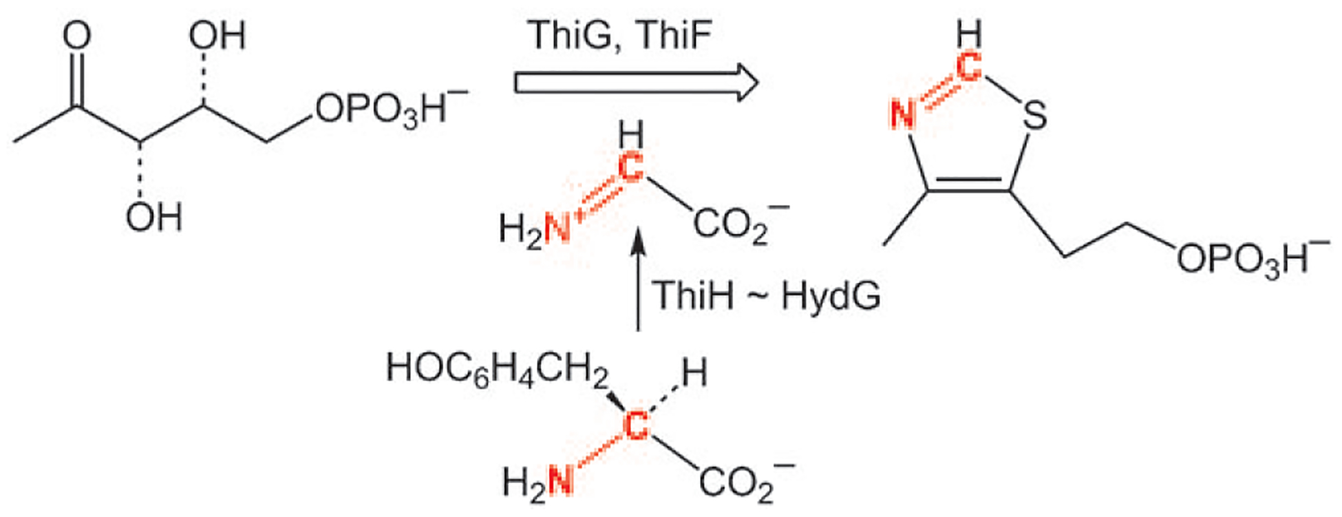 Scheme 3.