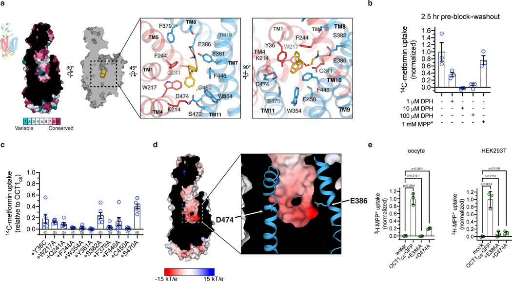 Figure 2 |