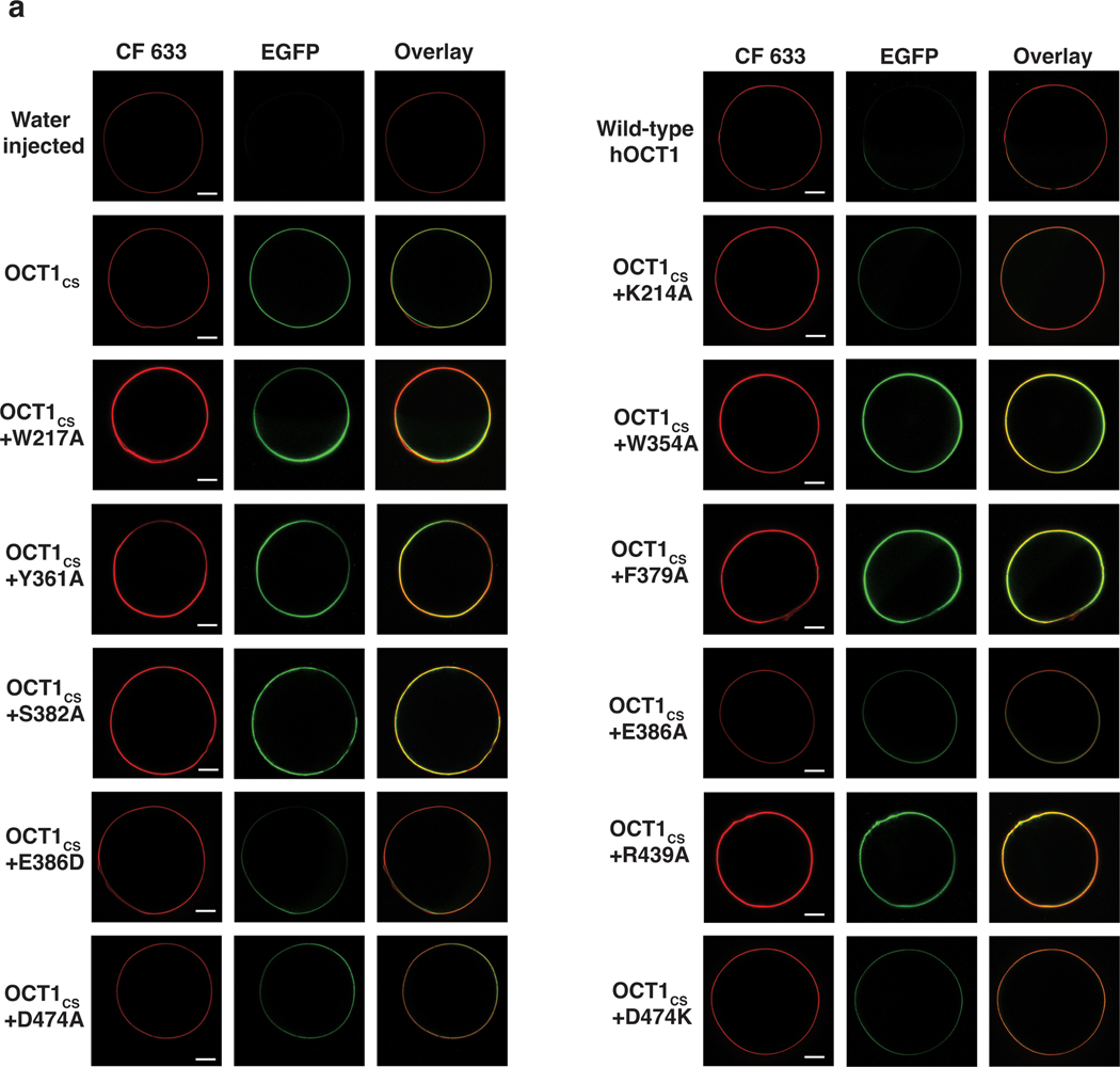 Extended Data Fig. 5