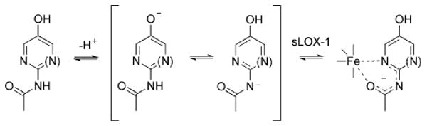 Scheme 3