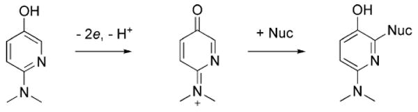 Scheme 2