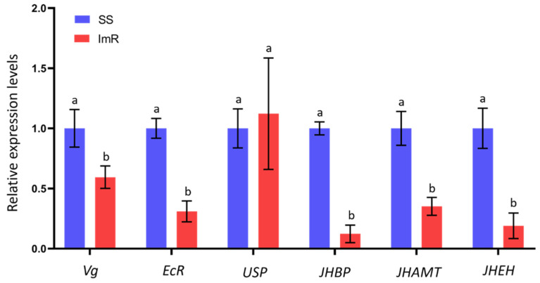 Figure 6