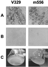 FIG. 6