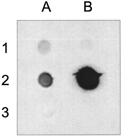 FIG. 5