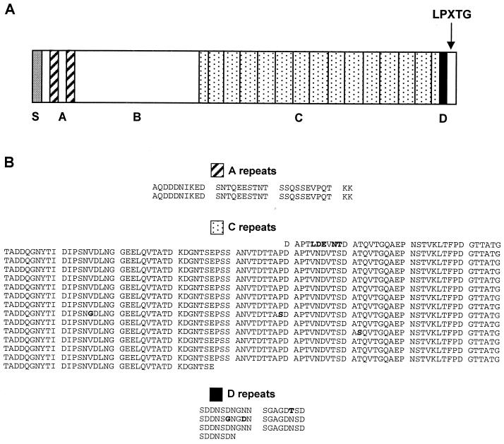 FIG. 7
