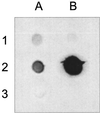 FIG. 5
