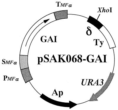 FIG. 1.