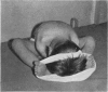 157