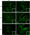 Fig. 9.