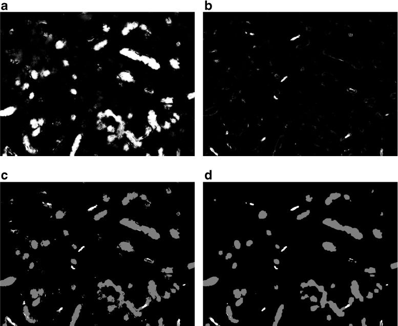 Fig. 3