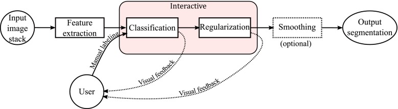 Fig. 1