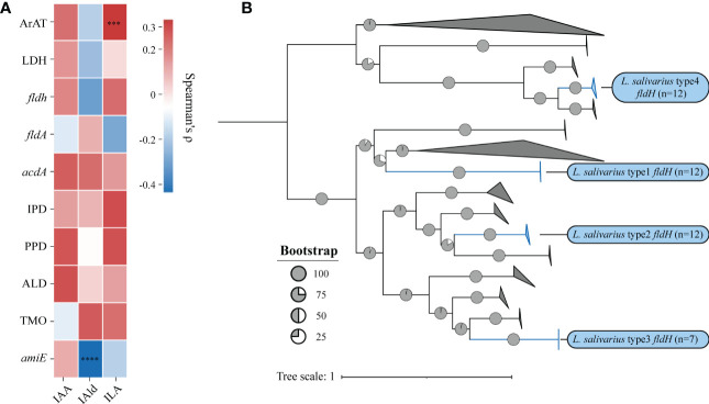 Figure 5