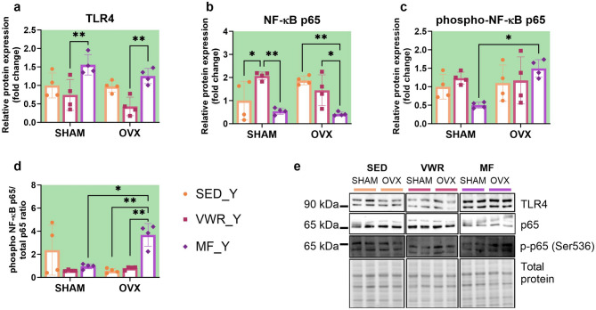 Fig. 12