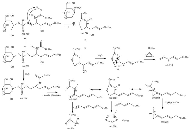 Scheme 3