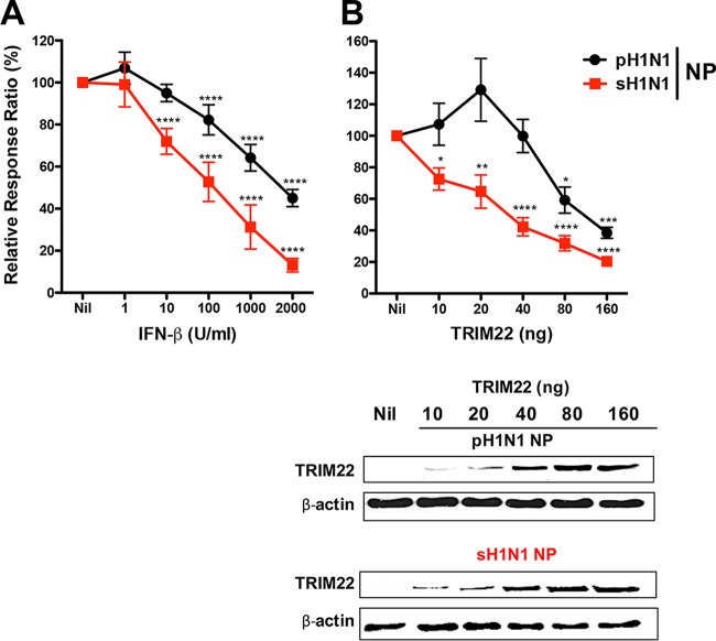 FIG 2 