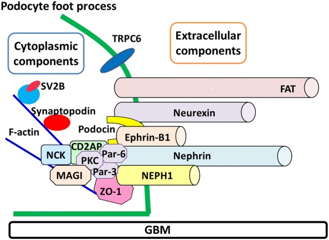 Fig. 1