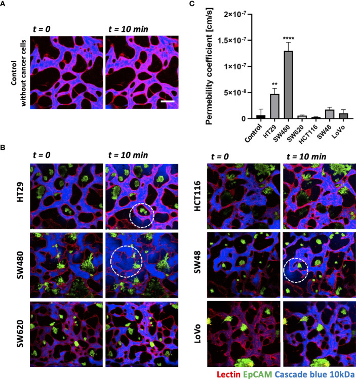 Figure 4