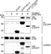 FIG. 6.