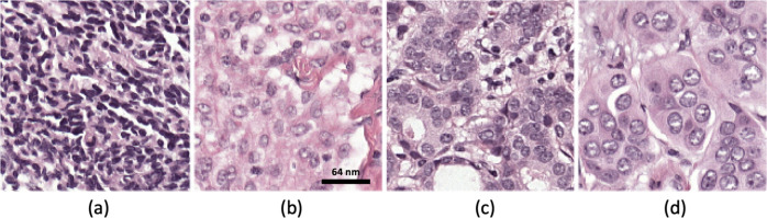 Fig. 7