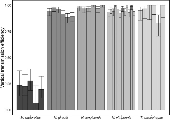 Fig 6