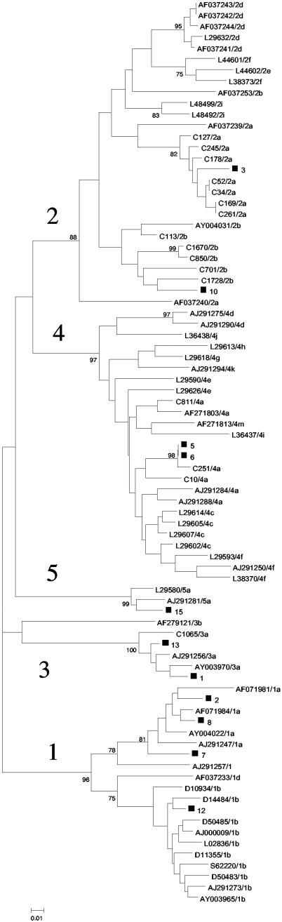 FIG.1.