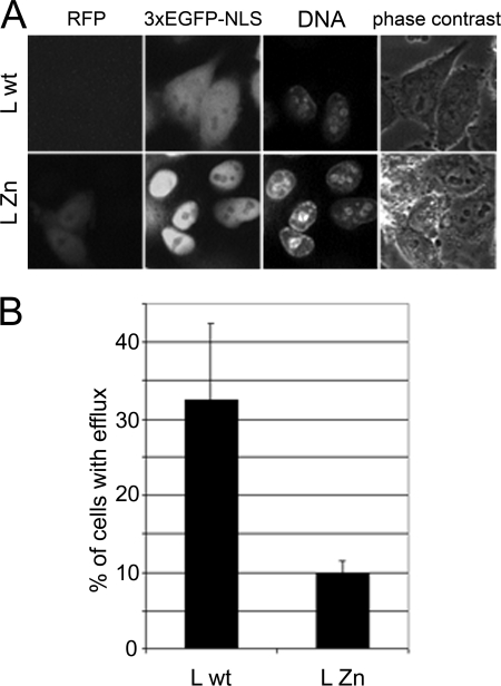 FIG. 6.