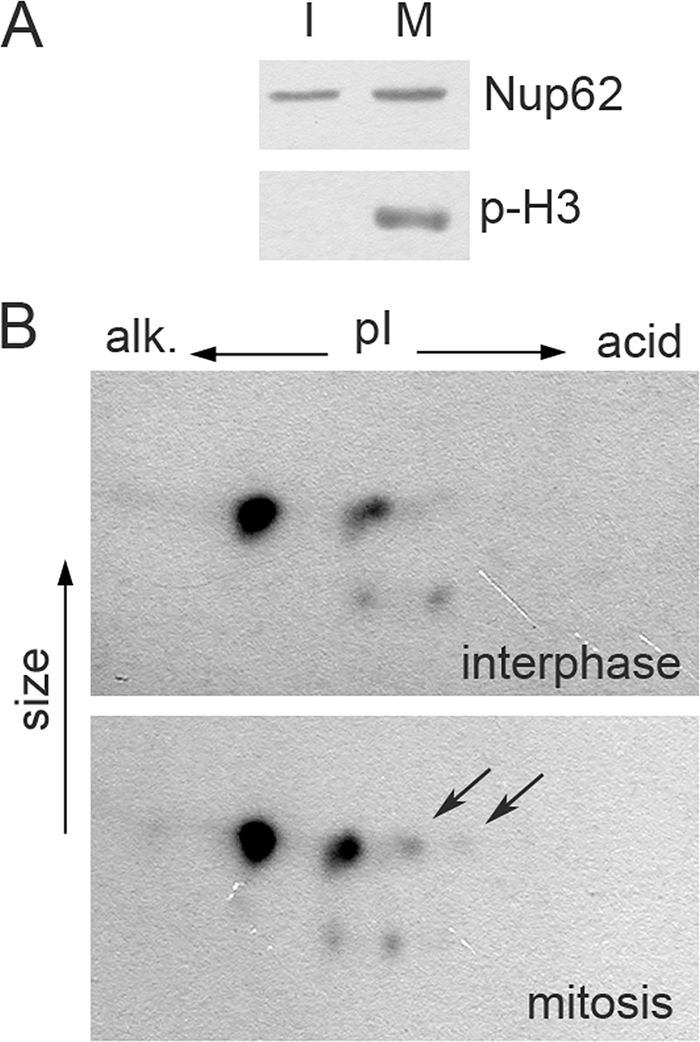 FIG. 8.