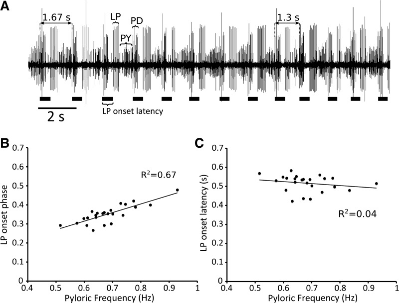 Fig. 8.