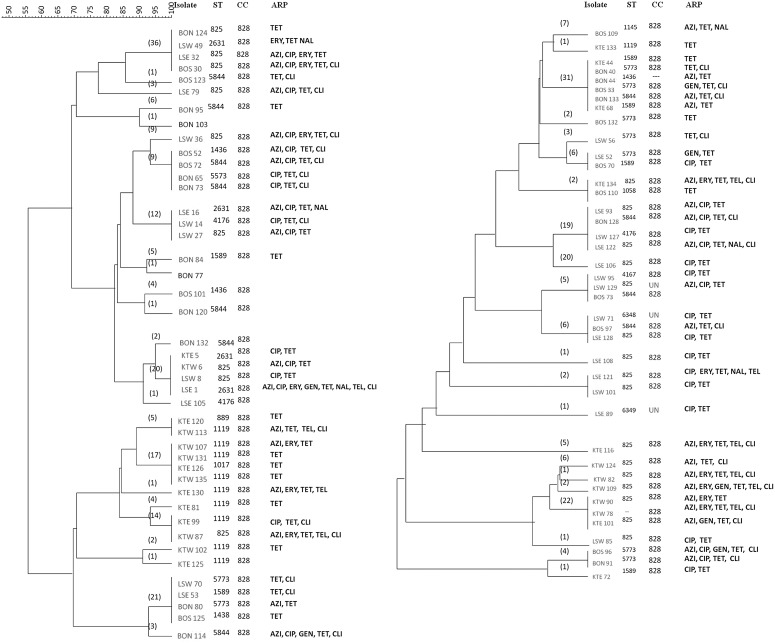 FIG. 2.