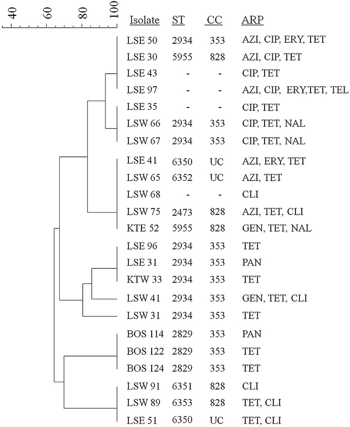 FIG. 1.