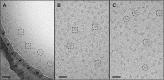 Fig 3.