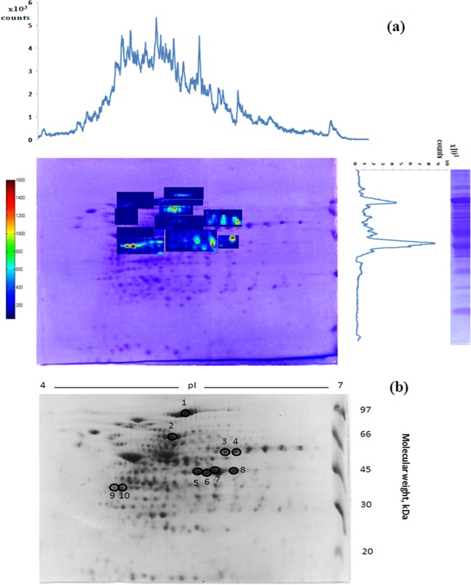 Fig. 2.