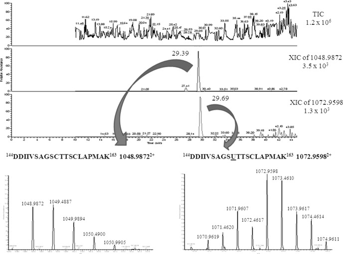 Fig. 4.