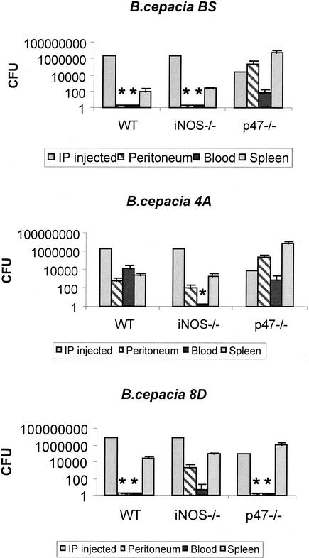 FIG. 2.